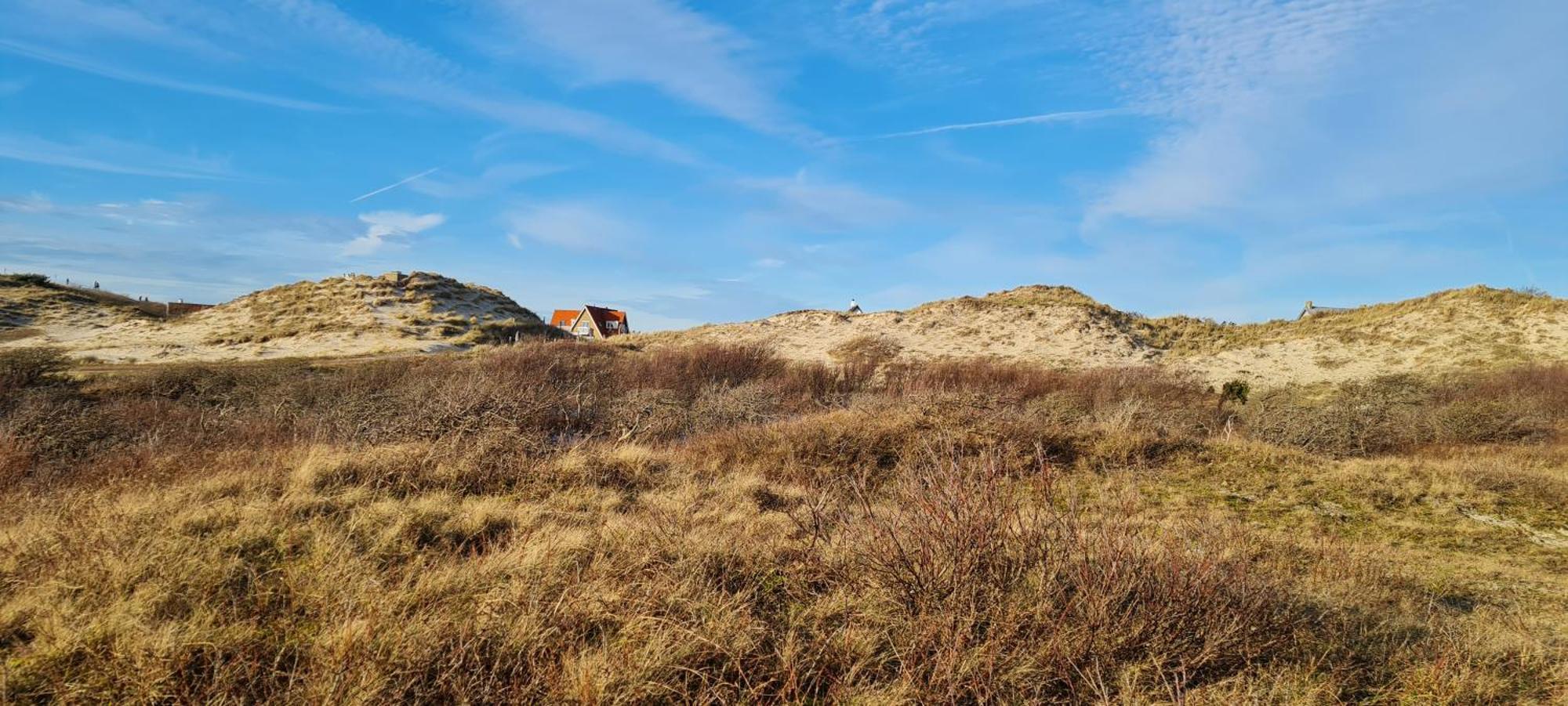 Villa Parnassia Bergen aan Zee Exterior foto